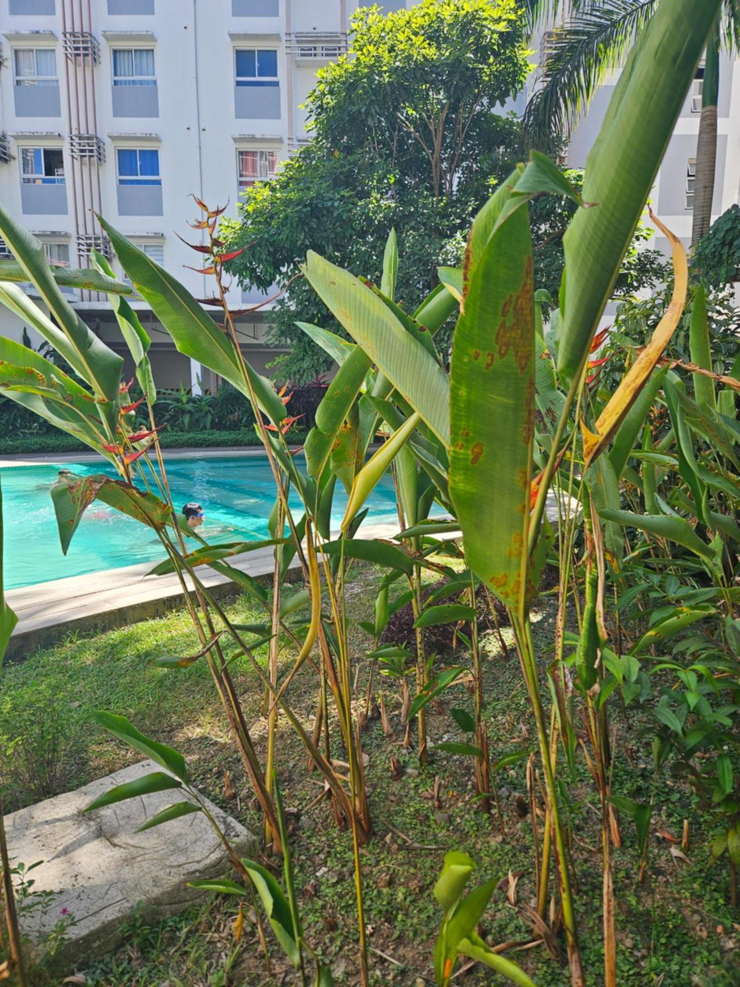 2-Bedroom Boutique City Condo - Newly Renovated! Cebu Екстер'єр фото