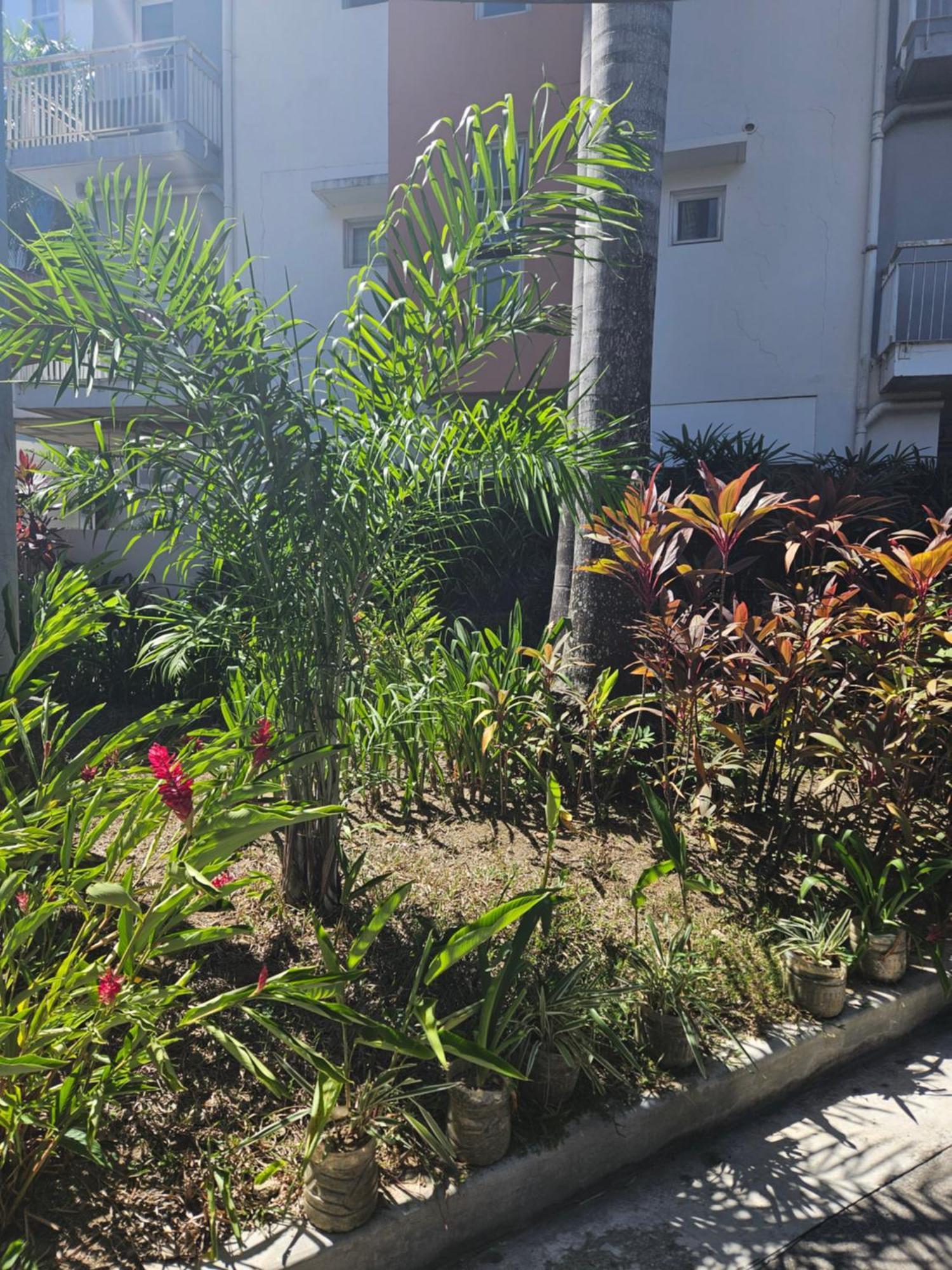 2-Bedroom Boutique City Condo - Newly Renovated! Cebu Екстер'єр фото